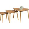 Table basse gigogne MOLLY Noir et imitation chêne – Image 6